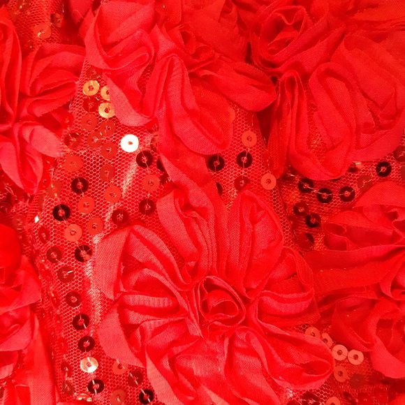 New Cinderella party dress 6months - 2 piece - Picture 4 of 5